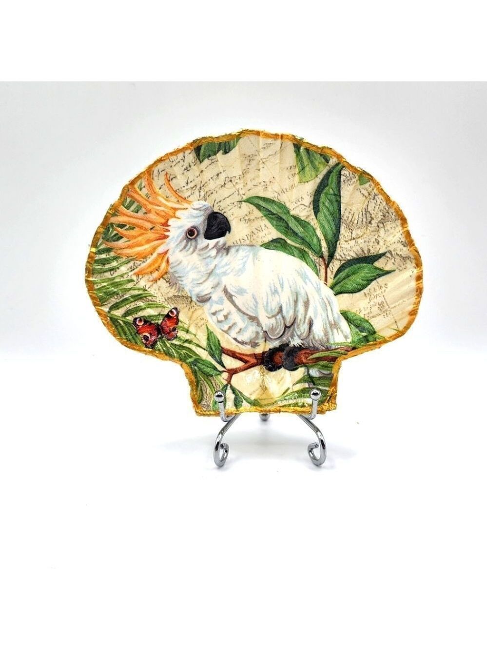 Decoupage Scalloped shell White Parrot